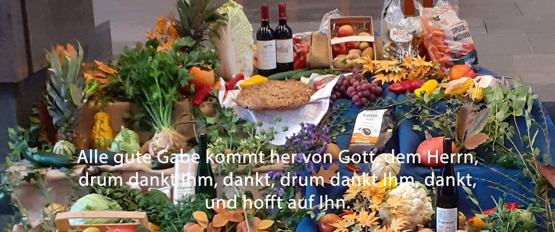 Quelle: PG Freiburg West